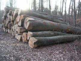 WOOD LOGS