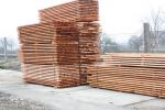 Lucfenyő Építőipari fűrészáru |  Puha fa | Fűrészáru | MP-HOLZ, s.r.o.