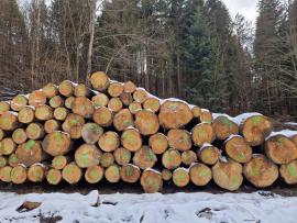Jegenyefenyő Fűrészrönk | Puha fa | Rönk | ALBA Forrest s.r.o.