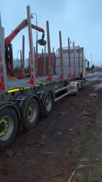 Rönkszállító félpótkocsi 02.03.2019 - 01.04.2019 |  Szállítás és teherszállítás | MT Transport a logistika