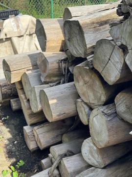 Teak Fűrészrönk |  Trópusi fafajok | Rönk | SOFT IT SP .ZO.O SPÓŁKA Z OGRANICZONĄ ODPO