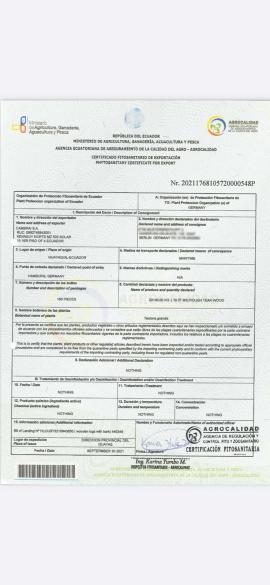 Teak Fűrészrönk |  Trópusi fafajok | Rönk | SOFT IT SP .ZO.O SPÓŁKA Z OGRANICZONĄ ODPO