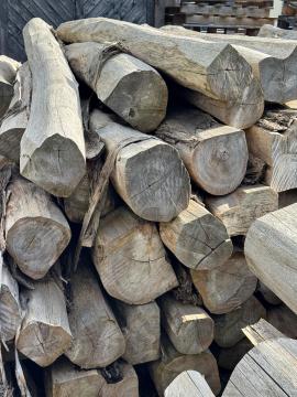 Teak Fűrészrönk |  Trópusi fafajok | Rönk | SOFT IT SP .ZO.O SPÓŁKA Z OGRANICZONĄ ODPO