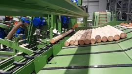 Más technika Kompletn výroní Linka kulů . |  Fűrészüzemi gépek | Faipari gép | Drekos Made s.r.o